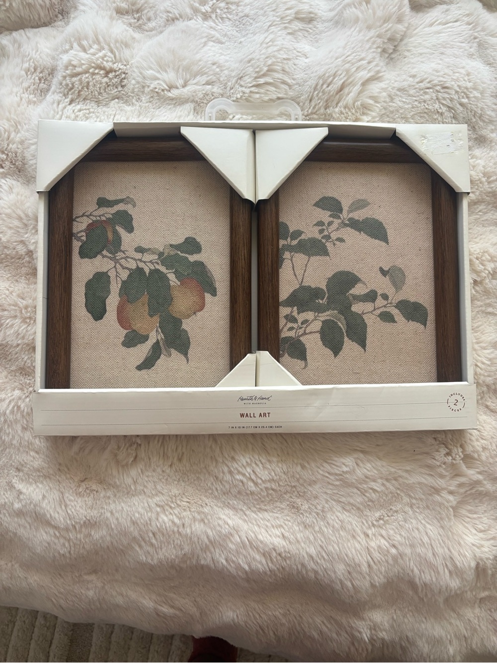 Hearth & Hand Peach and Leaf Botanical Prints in Cream and Green